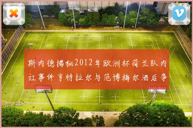 斯内德揭秘2012年欧洲杯荷兰队内讧事件亨特拉尔与范博梅尔酒后争执内幕